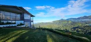 Wild Lily - Pooppara