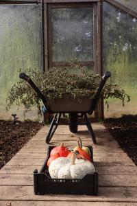 Hotels Le Barn : photos des chambres