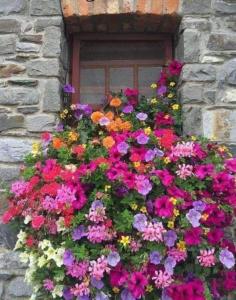 Affitta Camere Da Annarè