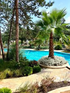 Harmony Grand Resort - Apartament Gut