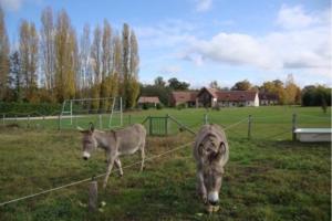 B&B / Chambres d'hotes Entre Vignes et Chateaux : photos des chambres