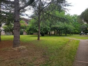 Appartements Joli T2 vue sur le jardin proche de Toulouse : photos des chambres