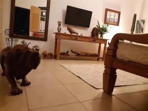 Casa aconchegante central