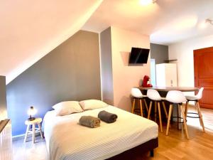 Appartements La Belle Cuvee - Plein centre-ville Chablis : Appartement 1 Chambre