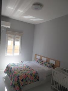 La Iniciativa 2: La luz y El camino