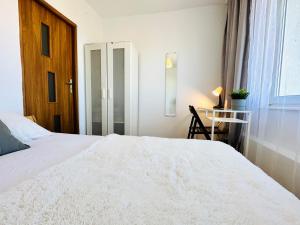 Apartament Konstantynowy X