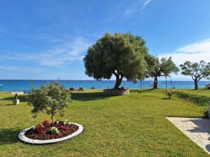 ALKEA beachfront apartment Moles Kalives Halkidiki