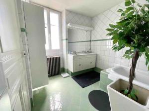 Grand appartement centre ville