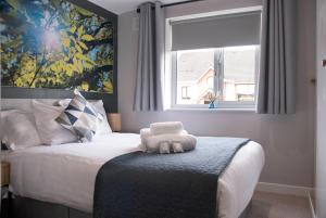 Apartment--- 1 Bed in Naas