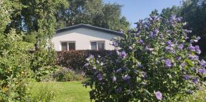 Vakantiebungalow Texel