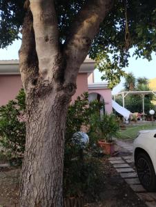 Residenza i Fenicotteri