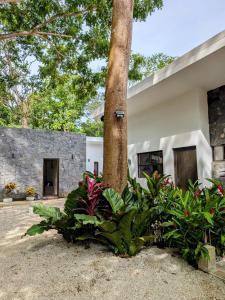 Hotel Bosques de Pinilla