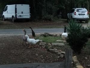 MAISONNETTE pour DÉTENTE ou TRAVAIL