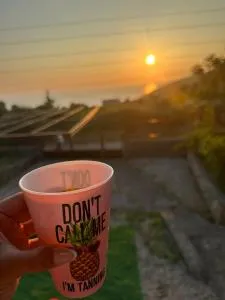 Utjeha Montenegro - Masline