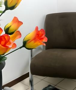 Studio Asa Sul Brasília