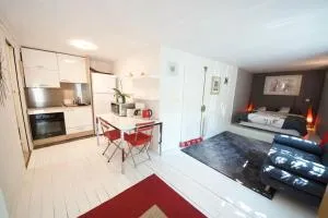 Studio en bord de Marne - Noiseau