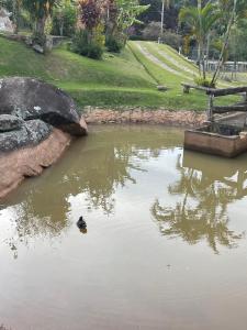 Chalé Jambeiro - Refúgio da Mata