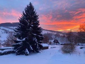 Apartmán Krkonoše Rokytnice