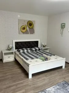 Чудесная квартира в изюминке города Берегово - 迪达