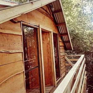 Cabaña entre los hualles - Trape