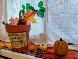 Maisons de vacances La demeure des maraudeurs -10min Disney-Jardin & BBQ : photos des chambres