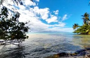 MOOREA - Utuafare OaOa Room Toru - Afareaitu