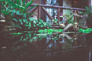 Pousada Rosa da Praia - Praia do Rosa - SC