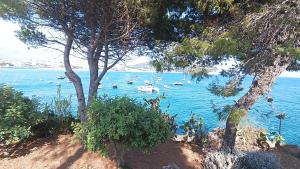 Villa Ninetta-Isabella