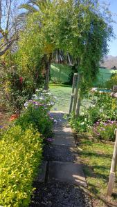 Casa con piscina en Olmue