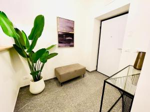 La Casa Di Re Salomone