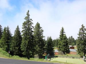 Appartements Studio 4 pers, proche pistes, balcon Sud, Chamrousse - FR-1-549-139 : photos des chambres