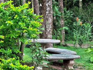 Roca Verde - Monteverde Cloud Forest Lodging