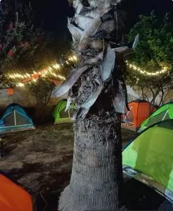 casas de campaña para Dia de Muertos - Xico