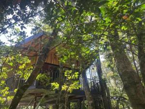 Roca Verde - Monteverde Cloud Forest Lodging