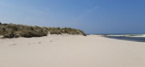 Maisons de vacances Theven Plages : photos des chambres