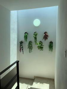 Casa Dangar, Pátzcuaro