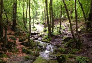 Paulette à bicyclette