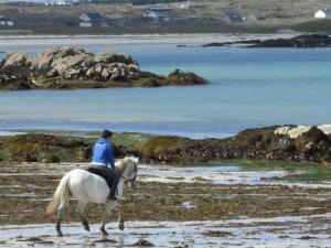 Waterside Cottage, Cashel