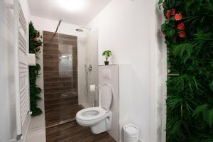 E-House Apartment Brasov