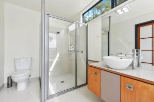 Tranquility Amongst The Trees