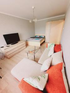 The comfortable Apartment