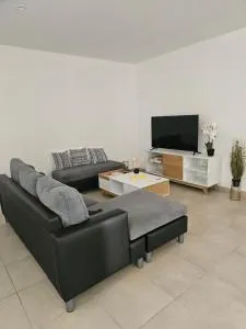 Lisantonia T3 - 阿拉塔