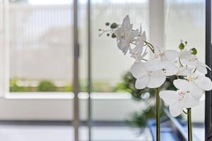 2Br Apt near Airpot Bay City with Parking