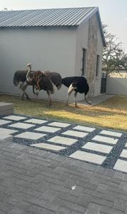 The 314 Euphoria Golf Estate