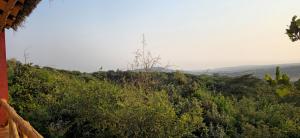 Mamadunia Safari Lodge