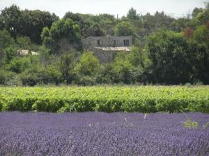 B&B / Chambres d'hotes CHAMBRE D HOTES a 4 KMS D UZES 