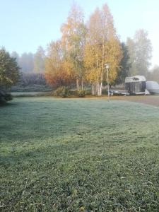 Apartment Purupihka, free parking and sauna