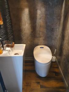 Villas Belle VILLA sur PESSAC , 6 chambres avec piscine, hammam et sauna : photos des chambres