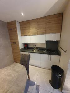 Villas Belle VILLA sur PESSAC , 6 chambres avec piscine, hammam et sauna : Villa