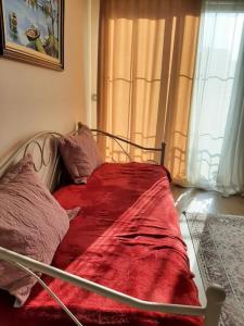 Julio Tirana Center Apartment